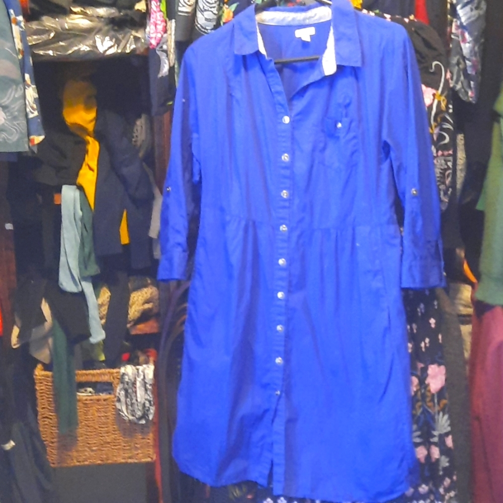 Anthropologie shirtdress, bold blue